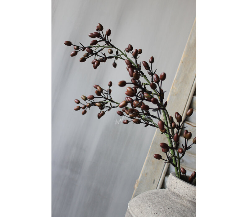 Brynxz Alnus / Rozenbottel tak brown 80 cm