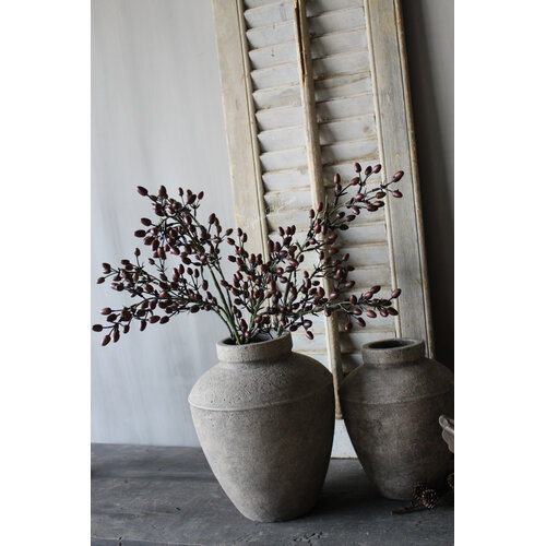 Brynxz alnus / rozenbottel tak Brown 80cm 