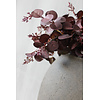 Brynxz Sylxz bosje namaak eucalyptus Burgundy 46cm