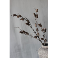 Sylxz lange dennenappel tak 80cm