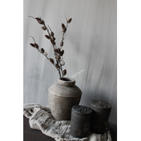 Sylxz lange dennenappel tak 80 cm