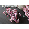 Brynxz Sylxz namaak besjes bos 45cm