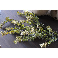 Sylxz leafs green autumn tak 85cm