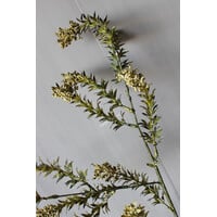 Sylxz leafs green autumn tak 85cm
