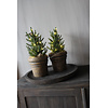 Ronde houten schaal Black wash 40cm