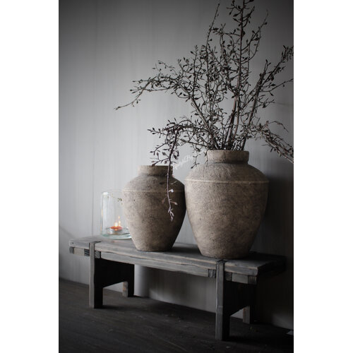 Sobere Corokia tak spray bruin 104 cm 