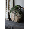 Aura Peeperkorn Aura Peeperkorn authentieke leem  / vismand 45x45cm