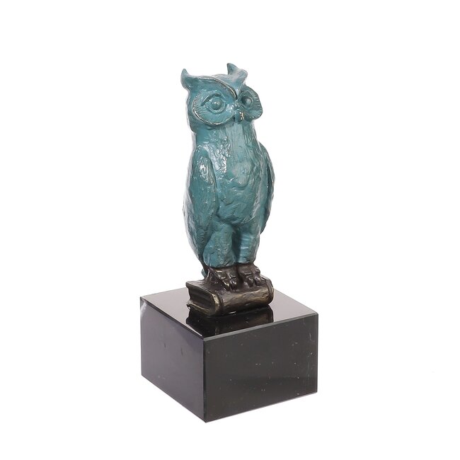 Ger van Tankeren De wijze uil. Geslaagd aandenken - tekstplaatje mogelijk.