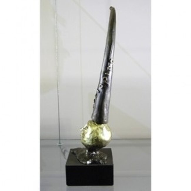 Corry Ammerlaan Developments beeld verbronsd