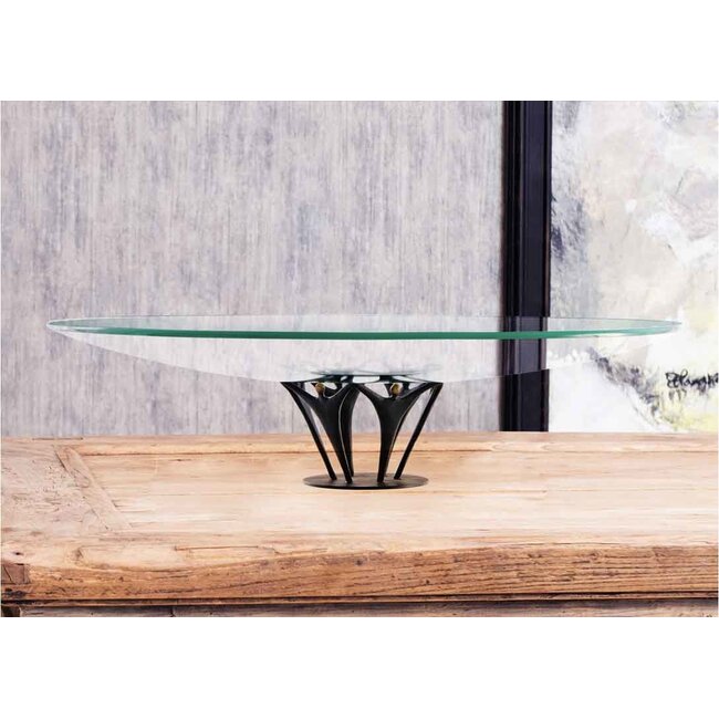 Corry Ammerlaan Schaal het van de grond tillen