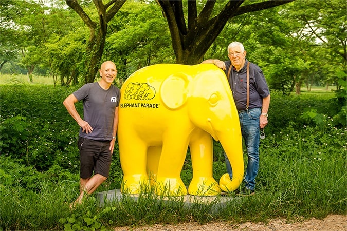 Kunstpakket beelden olifanten