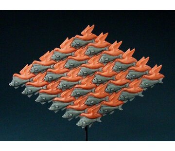 Escher Beeld Bird - Fish van Escher