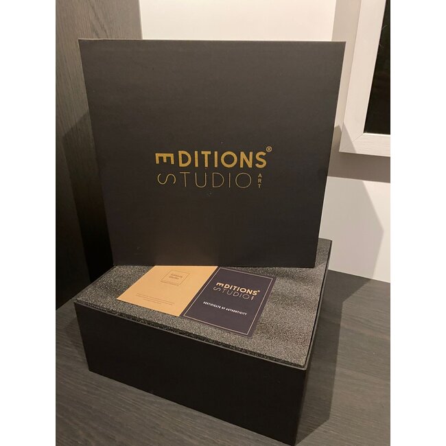 Jeff Koons Jeff Koons (After) – Balloon Dog (L) Zilver