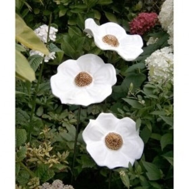 Corry Ammerlaan Set van 3 klaprozen in het wit van keramiek