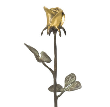 Corry Ammerlaan Bronzen beeld Bloeiende Roos in geschenkverpakking