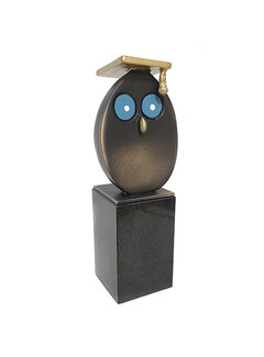 Corry Ammerlaan Beeld Geslaagd - gefeliciteerd(incl. geschenkdoos & veerzending)
