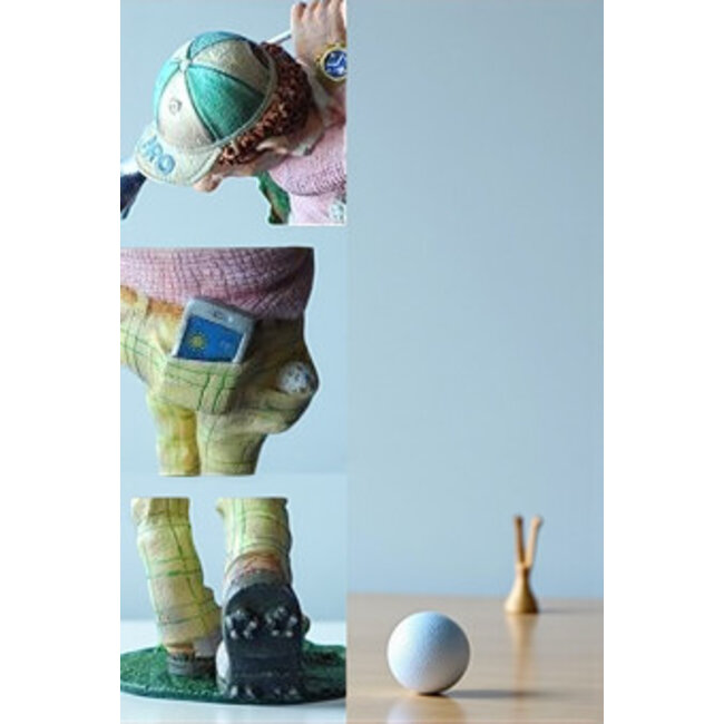 Profisti beeld Golfer