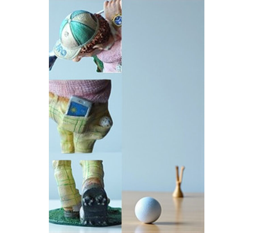 Profisti beeld Golfer