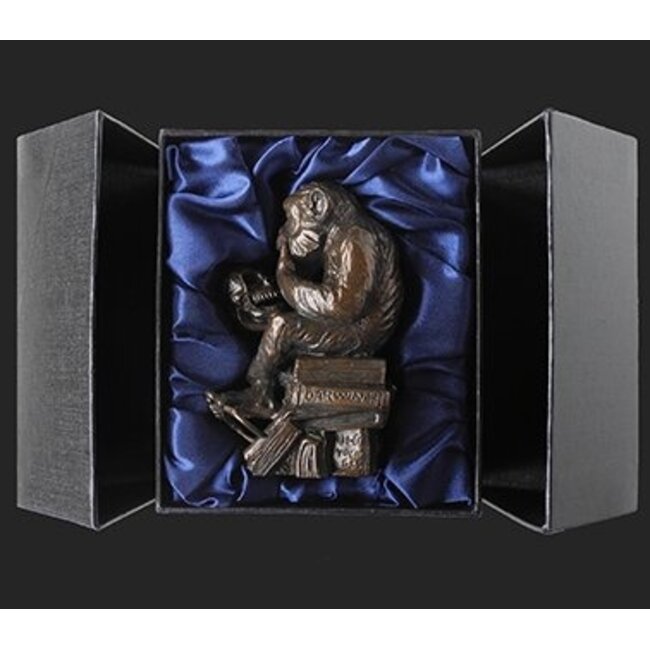 Rheinhold aapje met schedel