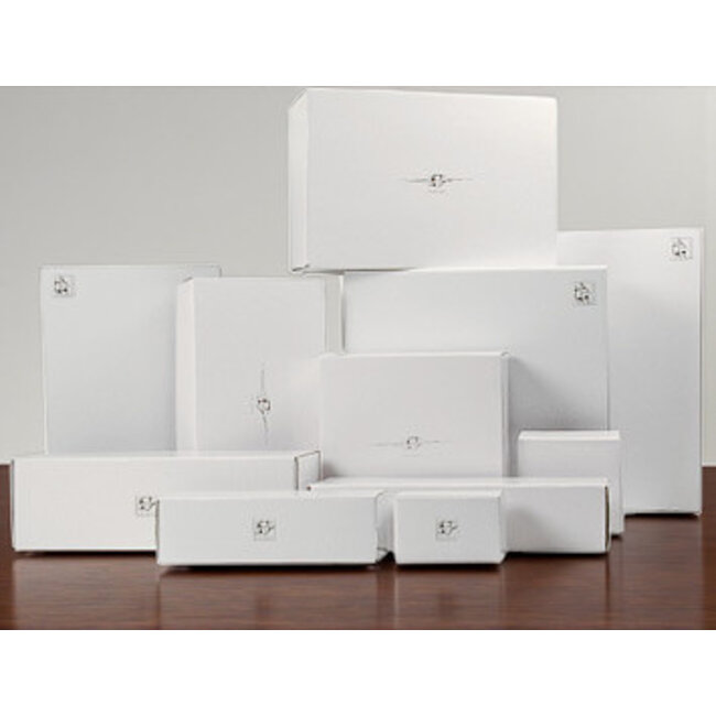 Corry Ammerlaan Sculptuur van echt brons (45 cm) - Toekomst door samenwerken