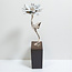 Corry Ammerlaan Beeld zeg het met een bloem(incl. geschenkdoos & verzending)
