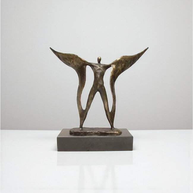 Ger van Tankeren De vleugels uitslaan