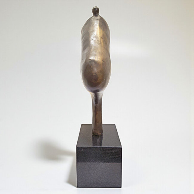 Corry Ammerlaan Beeld de kracht van een gelijkwaardig vertrouwen