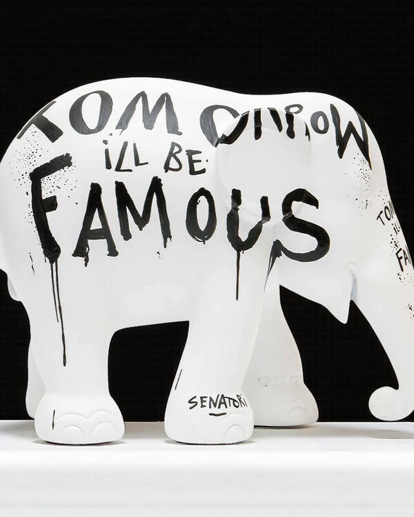 Selwyn Senatori Elephant Parade Selwyn Senatori(incl. verzenden)