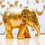 Elephant Parade Elephant Parade Sparkling Celebration Gold