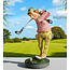 Profisti beeld Golfer