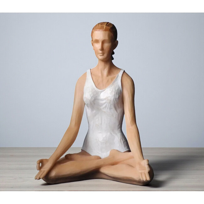 Beeld Yoga Lotus pose in kleur