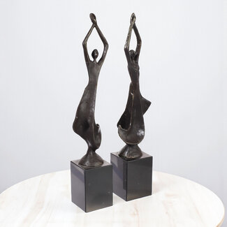 Beelden Een wervelend team set