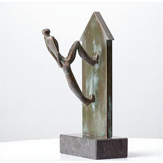 Corry Ammerlaan Het onmogelijke mogelijk maken