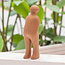 Guido Deleu & The Visitor Guido Deleu - The Visitor small Pink