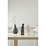 Guido Deleu & The Visitor Guido Deleu - The Visitor small Graphite