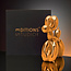 Jeff Koons (After) – Balloon Dog (L) Oranje Goud