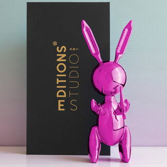 Jeff Koons Pink Rabbit XL - Kunstpakket Nederland