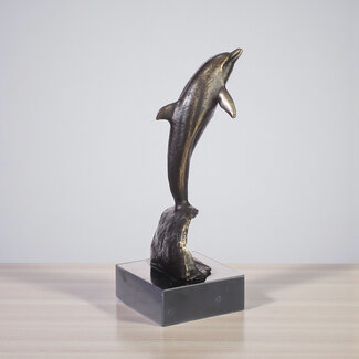 Beeld Dolfijn verbronsd