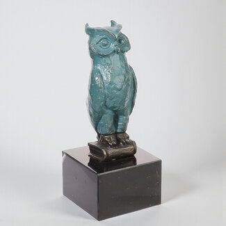 Ger van Tankeren De Wijze Uil - Bijzonder geslaagd aandenken met mogelijk  tekstplaatje