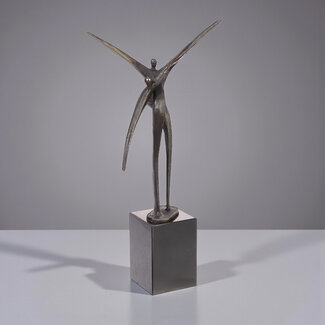 Ger van Tankeren Beeld Visa Versa