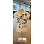 Jack Liemburg  Jack Liemburg Torso White handgeschilderd