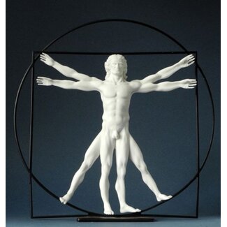 De Man van Vitruvius - Da Vinci