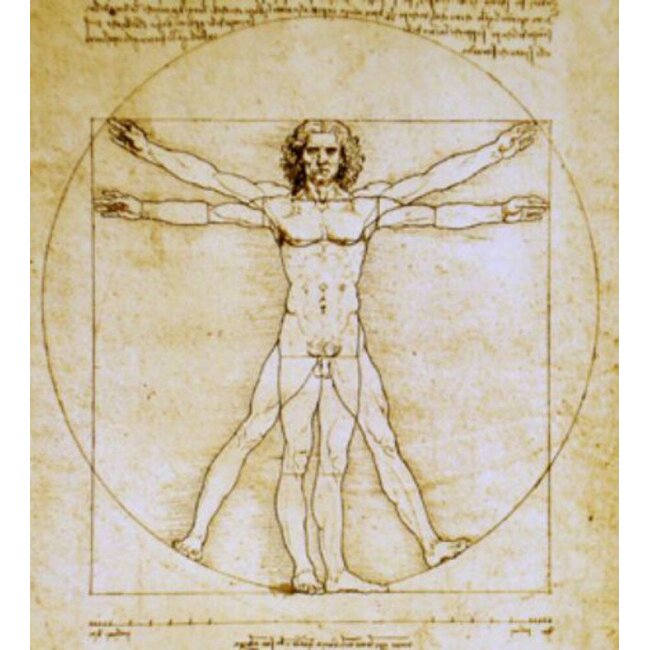 Leonardo da Vinci - De Man van Vitruvius