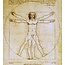 Leonardo da Vinci - De Man van Vitruvius