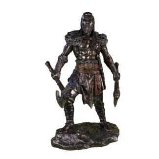 Viking man strijder beeld