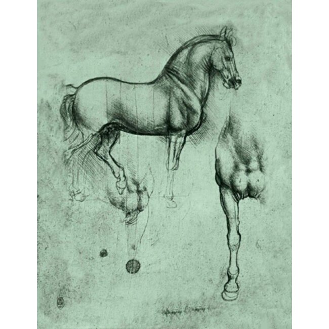 Da Vinci - Paard