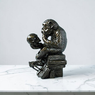 Aap met schedel naar Rheinhold – iconisch symbool van evolutie en kennis