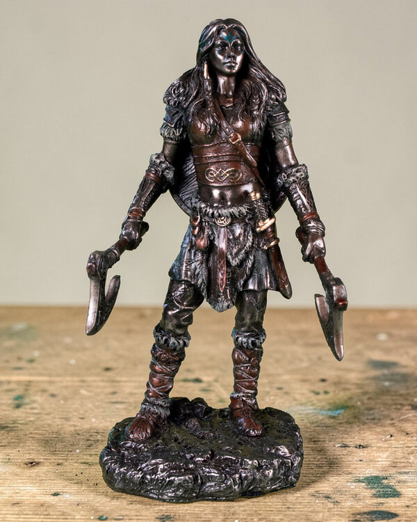 Vikingvrouw strijder beeld
