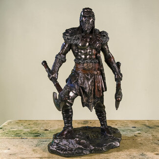 Viking man strijder beeld