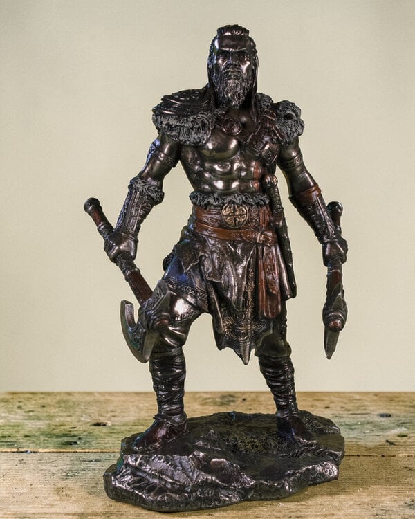 Viking man strijder beeld
